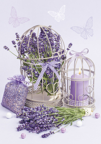 Colour Cage Lavender A/4 elastic folder