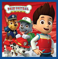 Paw Patrol Magic Hand Towel Face Towel, Towel 30x30cm