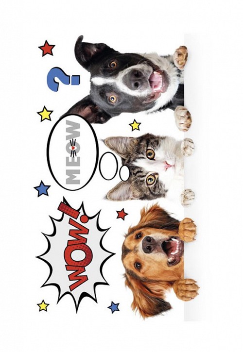 Animals Furry Friends Elastic folder A/4