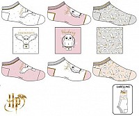 Harry Potter childrens no-show socks 23-34