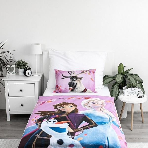 Disney Frozen Wind childrens bedding 100×135 cm, 40×60 cm