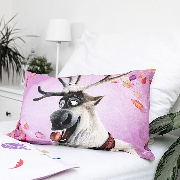 Disney Frozen Wind childrens bedding 100×135 cm, 40×60 cm