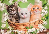 Animals Brothers in Fur 2x60 piece puzzle Clementoni  CMC24820