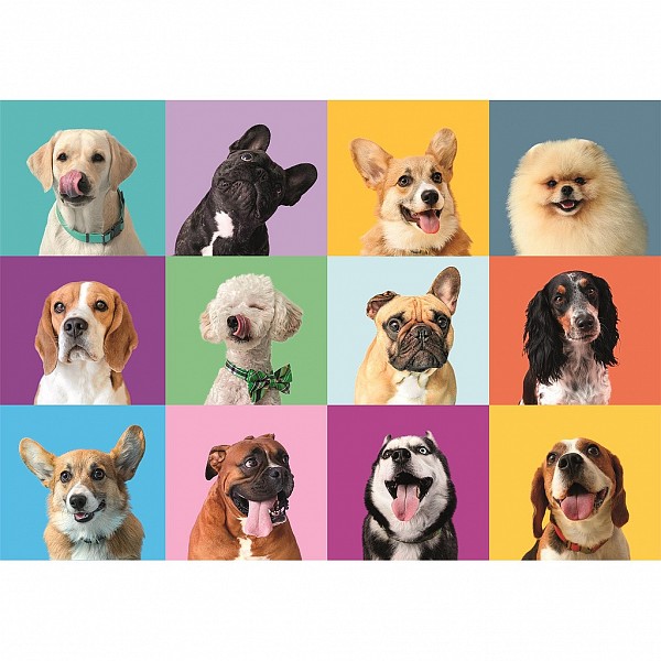 Animals Funny Faces Clementoni 300-piece puzzle CMC21739
