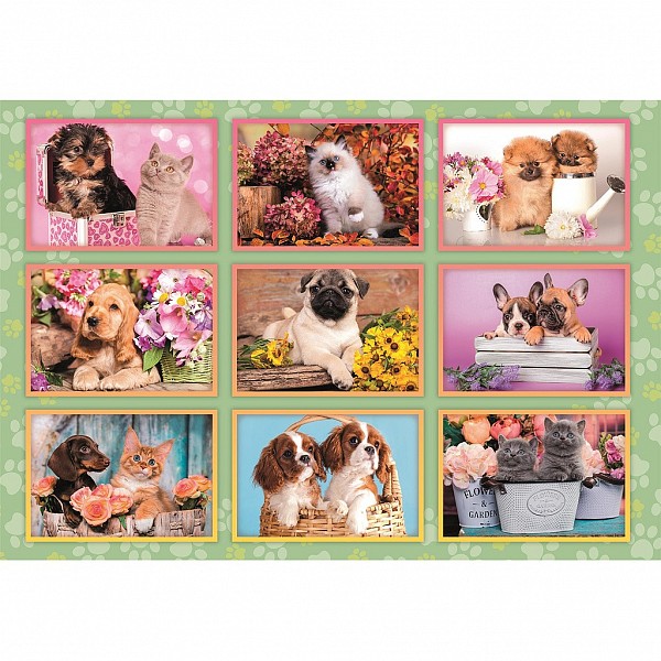 Állatos Puppies Collage 180 db-os puzzle Clementoni  CMC29788